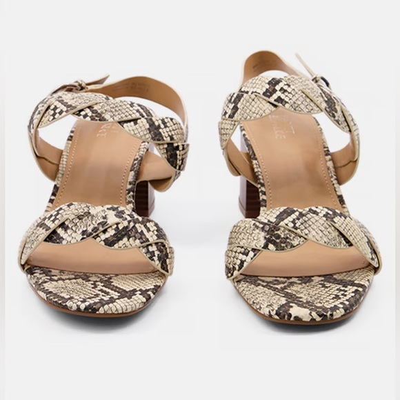 Market And Spruce women Color Snake  twisted adjustable buckle... Size 6.5 - Picture 3 of 8